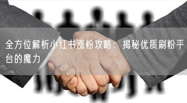 全方位解析小红书涨粉攻略:揭秘优质刷粉平台的魔力