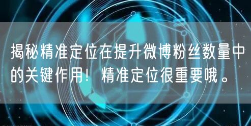 揭秘精准定位在提升微博粉丝数量中的关键作用!精准定位很重要哦。