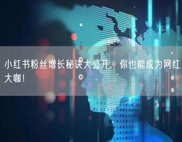 小红书粉丝增长秘诀大公开,你也能成为网红大咖!