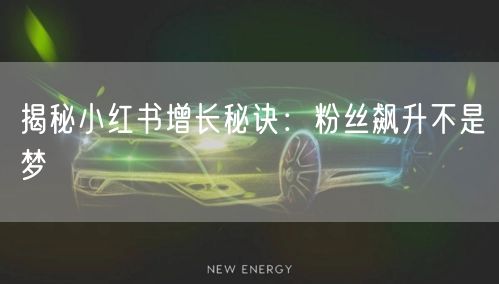 揭秘小红书增长秘诀:粉丝飙升不是梦