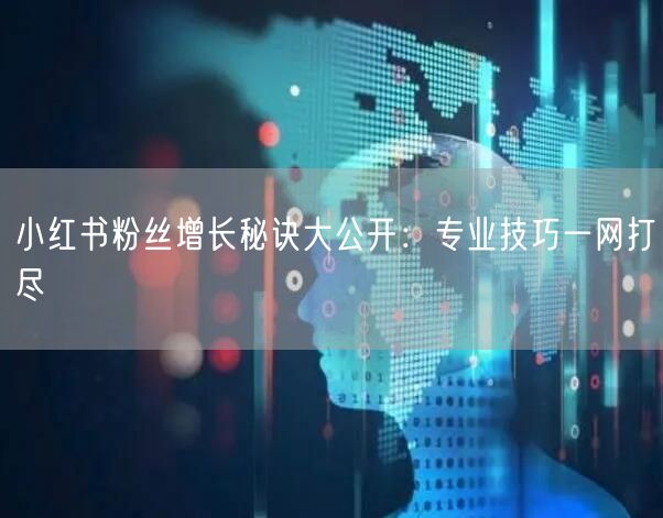 小红书粉丝增长秘诀大公开:专业技巧一网打尽