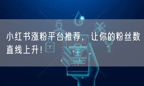 小红书涨粉平台推荐,让你的粉丝数直线上升!