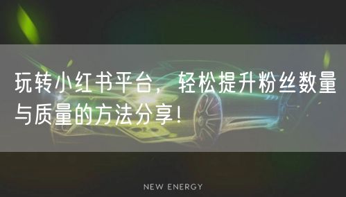 玩转小红书平台,轻松提升粉丝数量与质量的方法分享!