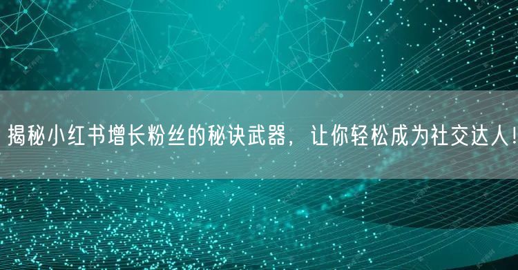 揭秘小红书增长粉丝的秘诀武器,让你轻松成为社交达人!