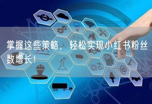 掌握这些策略,轻松实现小红书粉丝数增长!